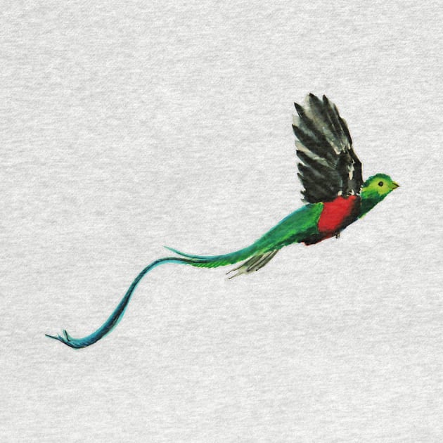 Costa Rica Quetzal Watercolor by julyperson